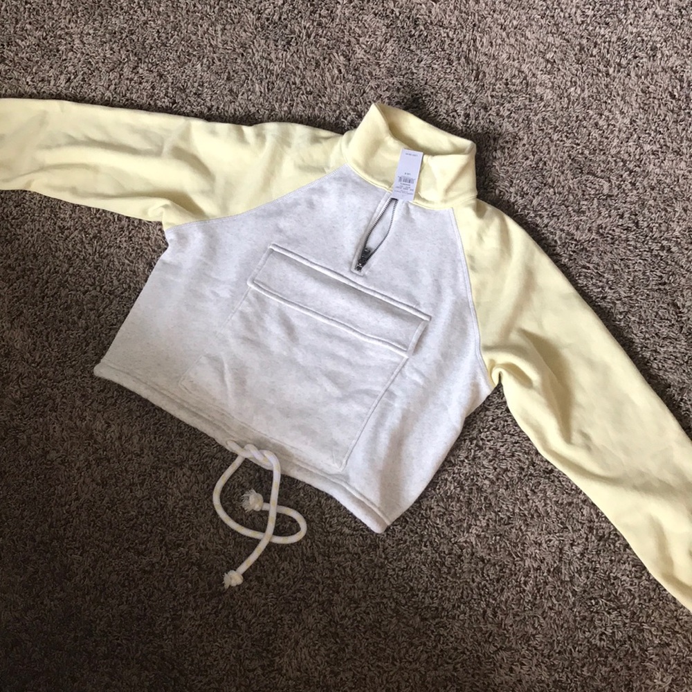 American eagle cropped hoodie